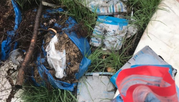 Eco-School - Clean up event